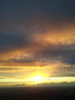 2012-08-26 19.49.03.jpg